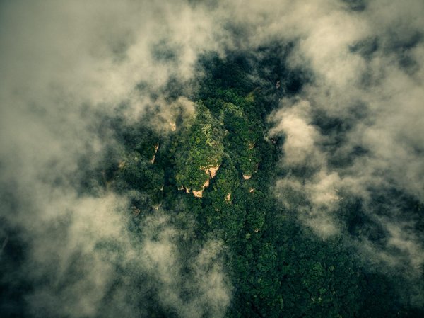 Comment organiser une collecte de jouets pour apporter de la joie aux enfants hospitalisés : Guide pratique et complet