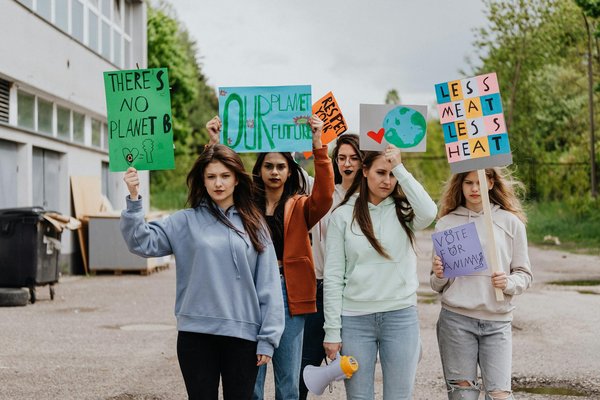 Création d'un refuge pour la faune à l'aide de plantes indigènes